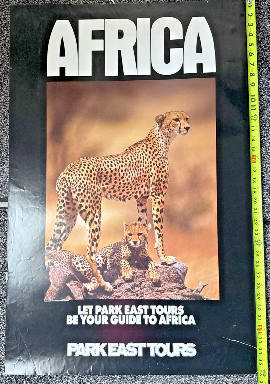 Large Africa Travel Poster Vintage Safari Cheetah Cub 36" x 24" Park East Tours